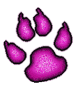 patte de chat
